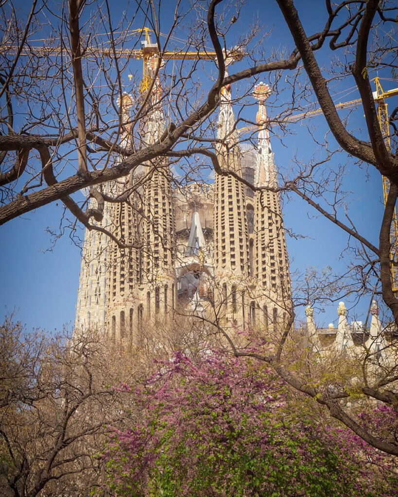Sagrada Familia Pet Friendly