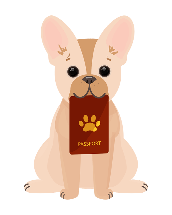 Passport-style graphic representing tourist dog sitting in Barcelona