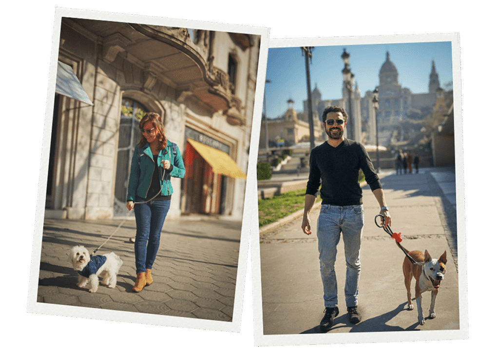 Wander Woofs dog sitters walking dogs in Spain, showing trusted dog-sitting support for travelers visiting Europe with dogs.