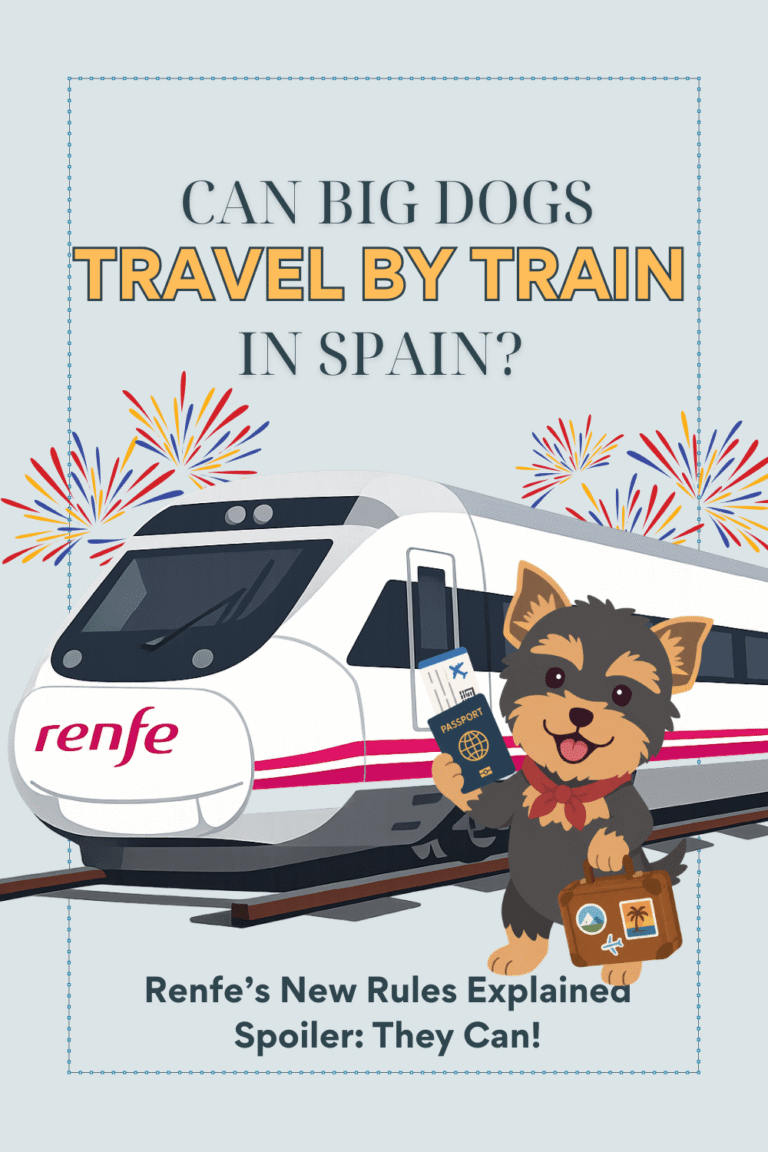 Pinterest graphic showing a Renfe train and Wander Woofs mascot Chilli with the headline “Can large dogs travel by train in Spain? Renfe’s new rules explained.