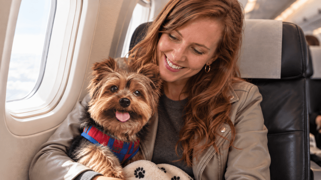 Happy traveler flying with her small dog after preparing the required EU pet travel documents.